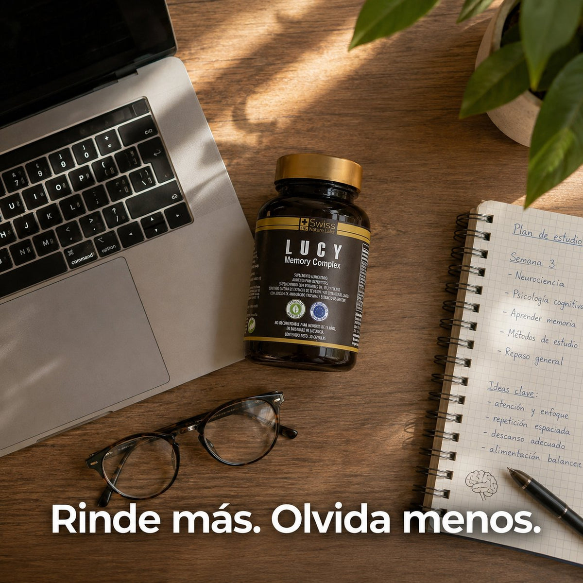 Lucy Memory Complex Memoria y enfoque
